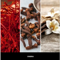 MILLEFIORI MILANO Pałeczki zapachowe Ombra 100ml